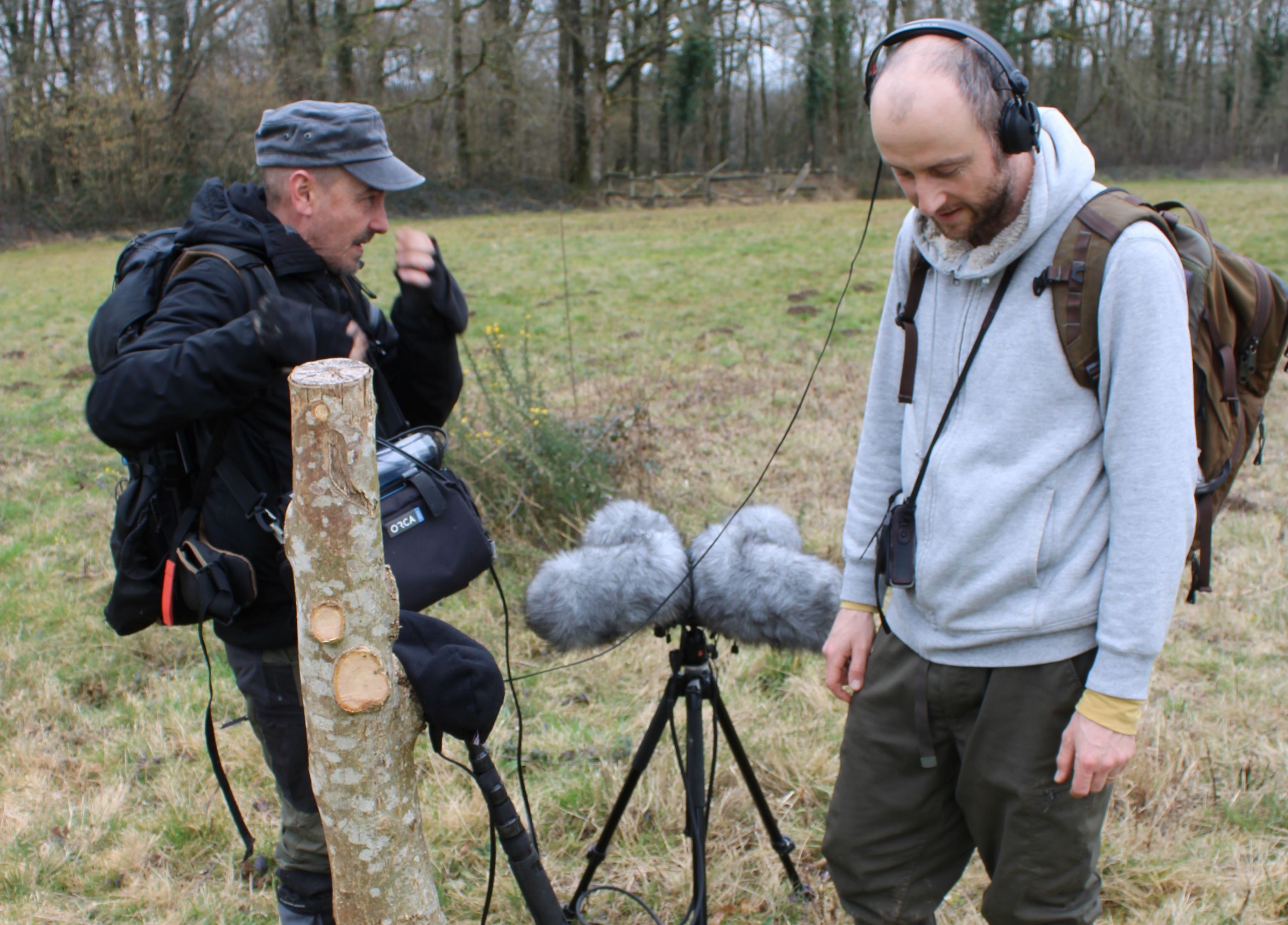 Cr&eacute;ation sonore saint marc 2.JPG (830 KB)
