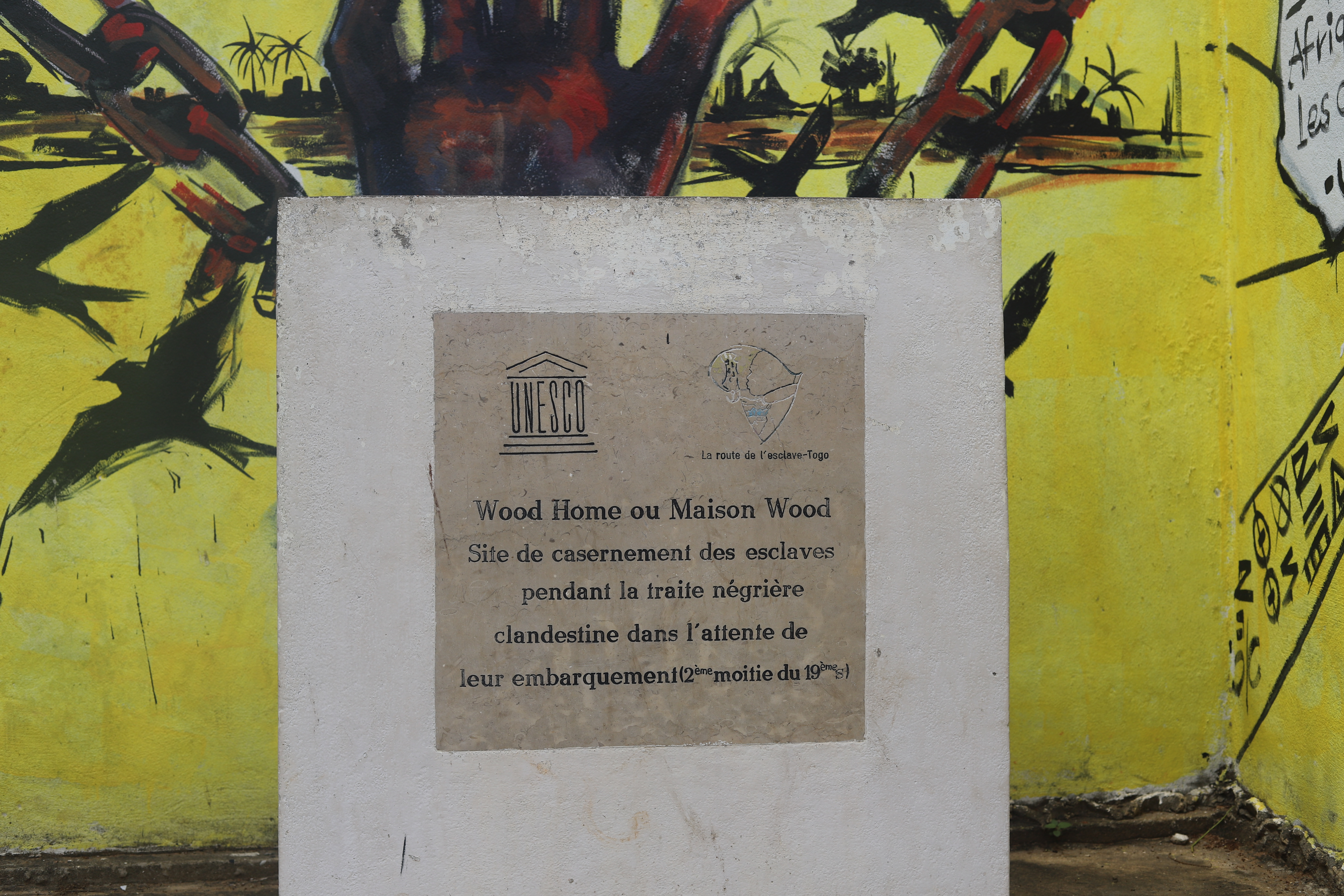 IMG_2825.JPG (8.84 MB)