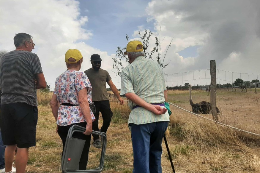 La balade des autruches, une activité touristique