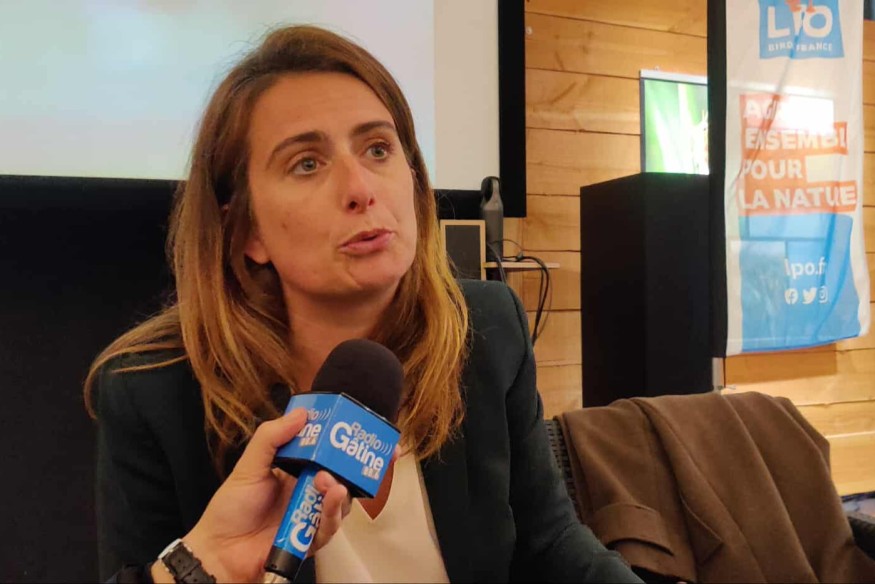 Au FIFO, Marine Tondelier alerte sur la disparation des oiseaux