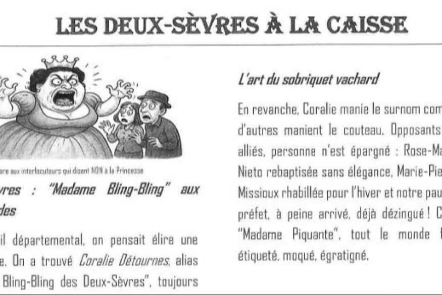 Qui est derrière le Canard Deux-Sévrien ? Ce journal satirique qui débarque dans les Deux-Sèvres.